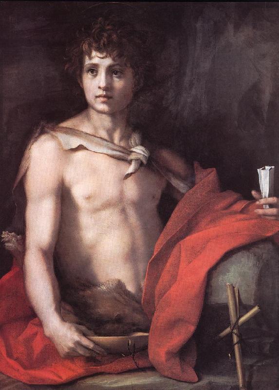 Andrea del Sarto St John the Baptist